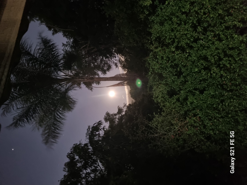 Portal Hari OM - Imagem 4